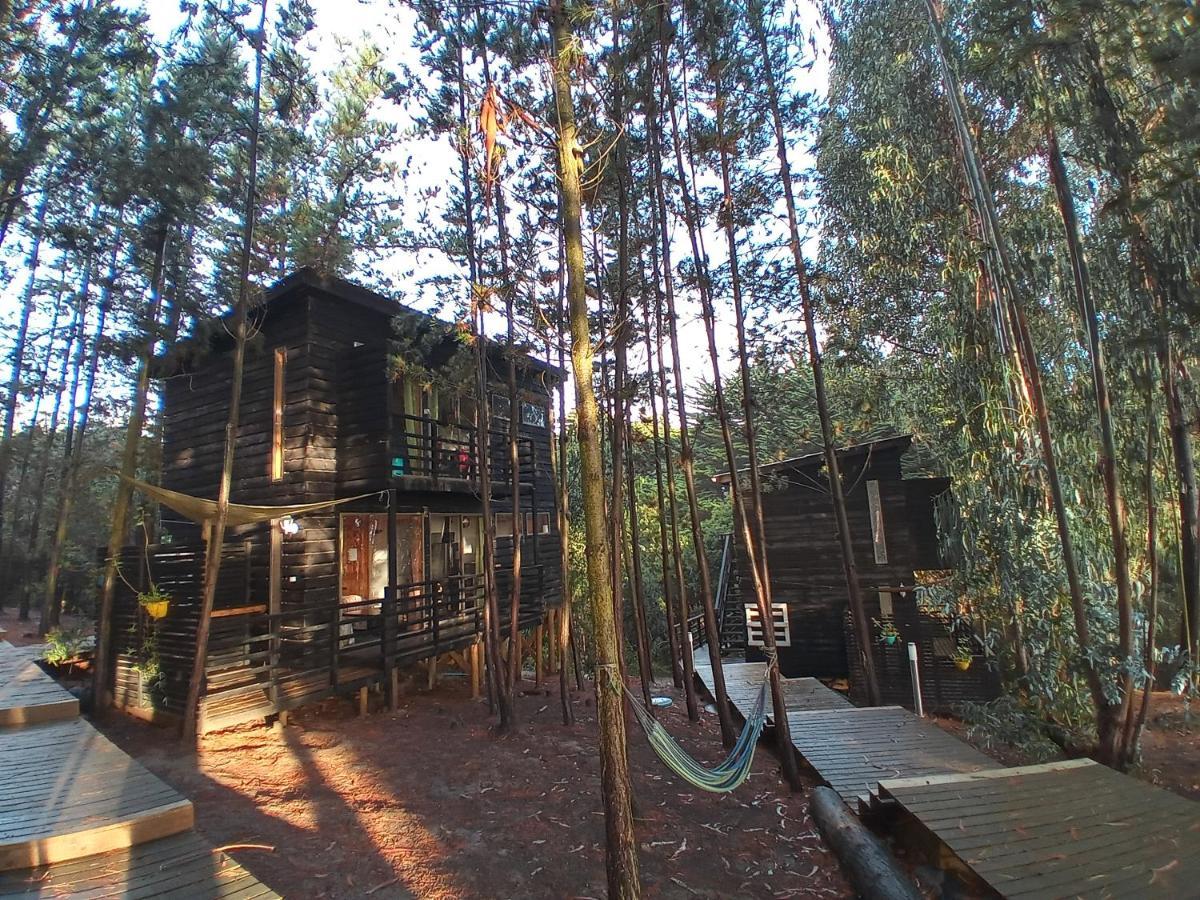 Lodge Terra Mar Pichilemu Luaran gambar